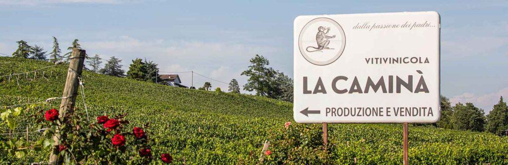 azienda-vitivinicola-la-caminà-bacedasco