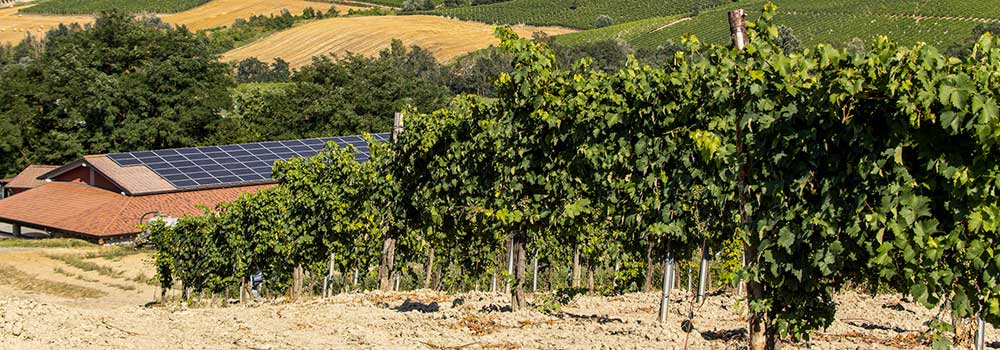 la-camina-sostenibilkta-fotovoltaico