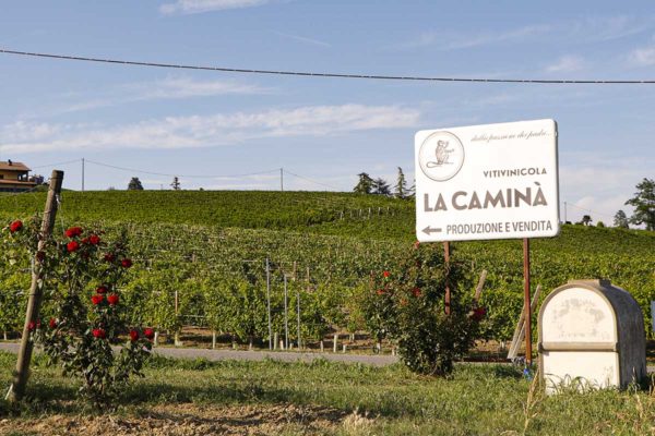 la-camina-vigne-bacedasco-basso-vernasca-piacenza2