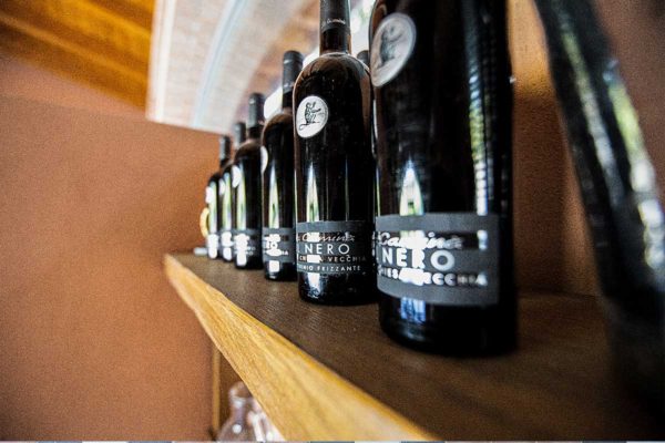 la-camina-vigne-bacedasco-basso-vernasca-piacenza3